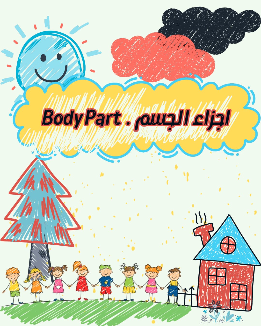 أجزاء الجسم
